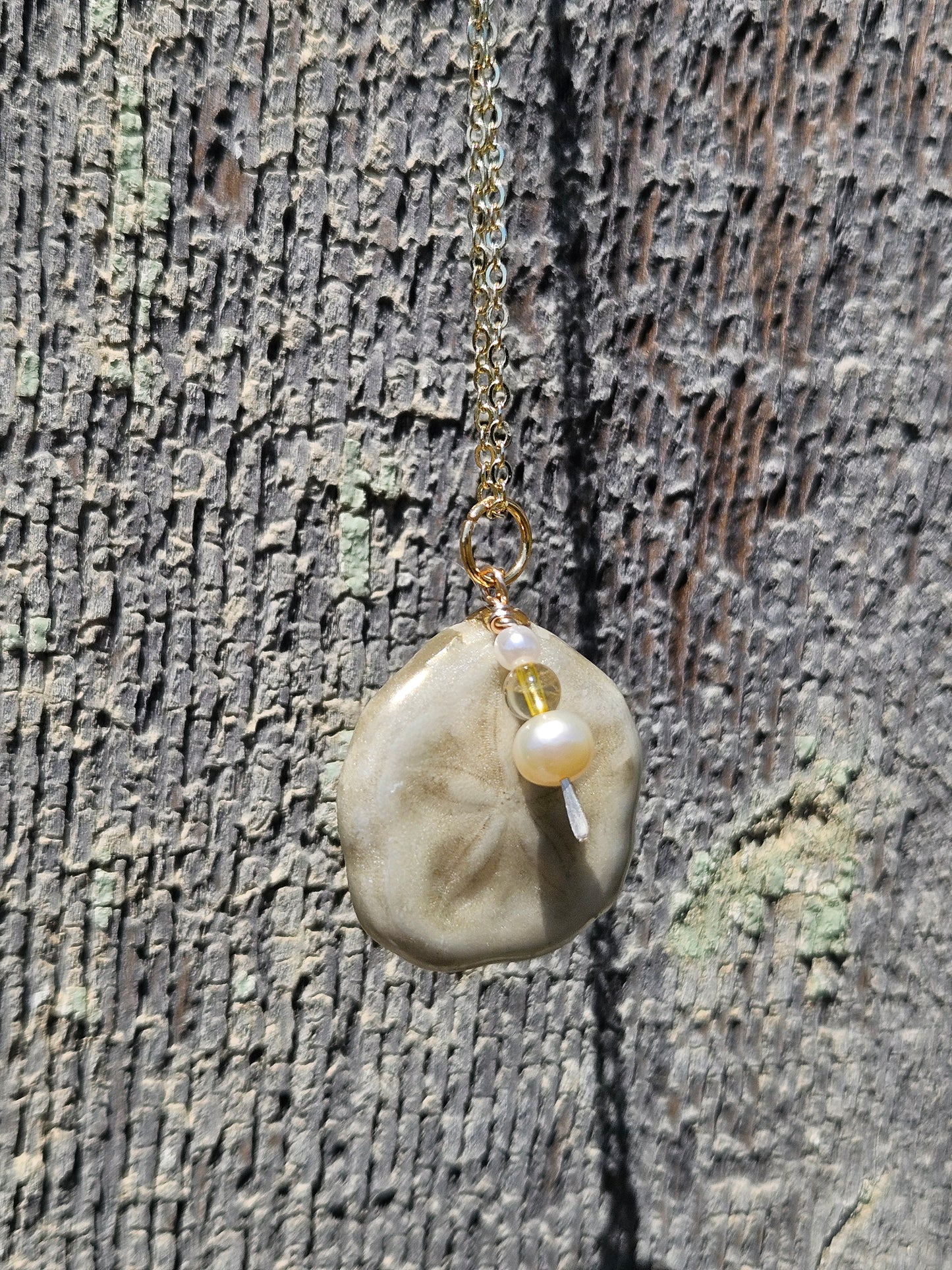 Golden Tide Sea Biscuit Abundance Talisman Necklace