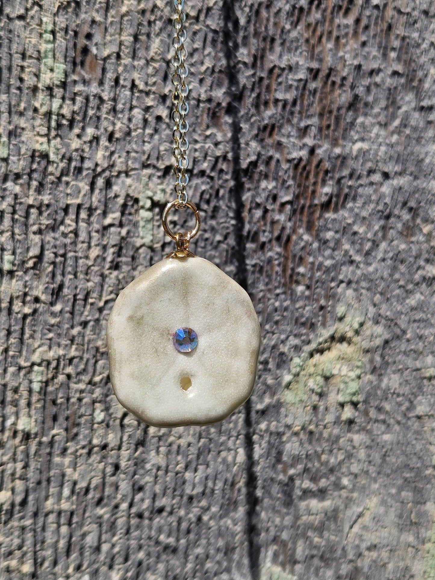 Golden Tide Sea Biscuit Abundance Talisman Necklace