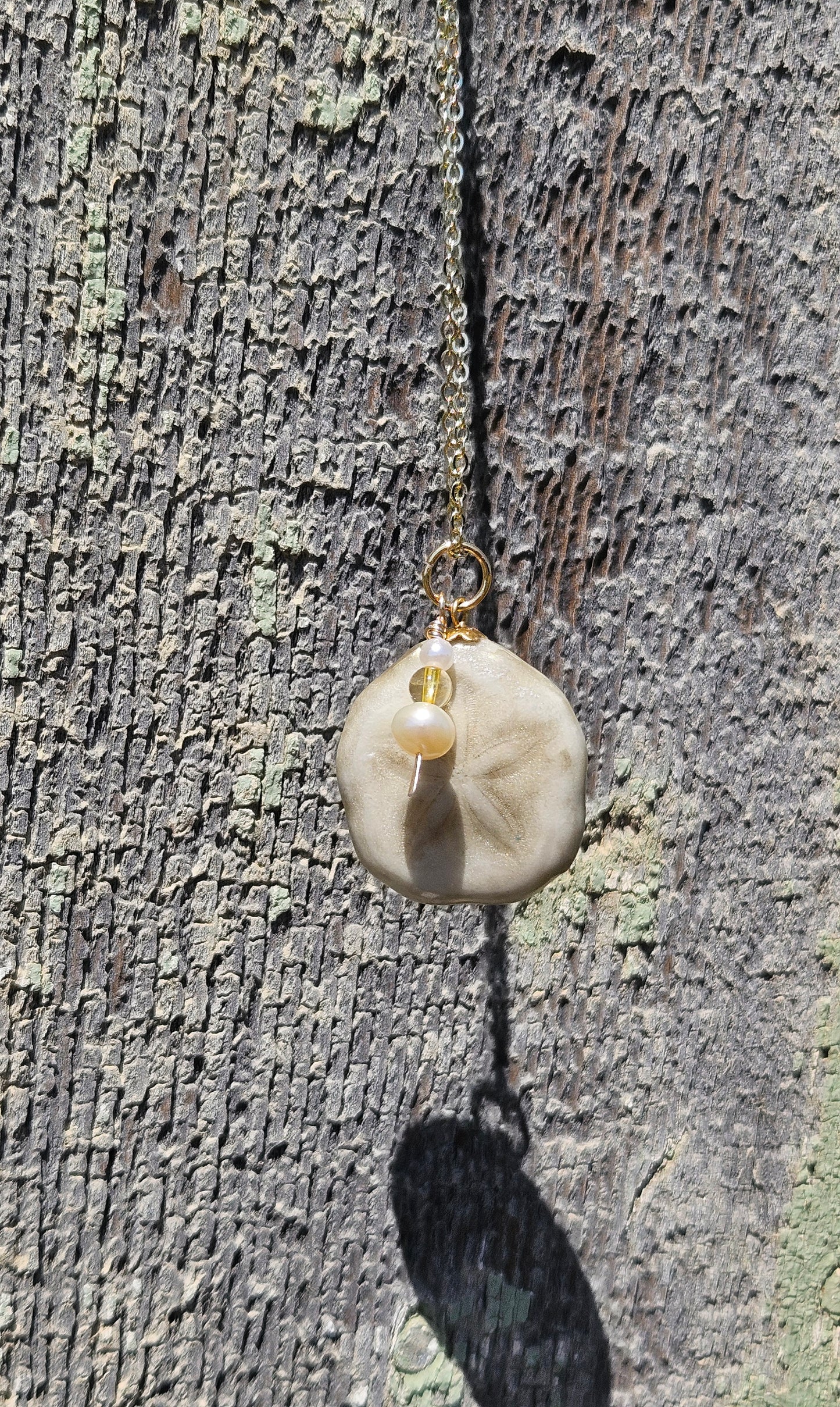 Golden Tide Sea Biscuit Abundance Talisman Necklace