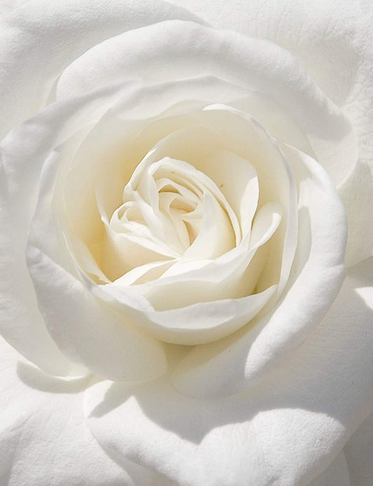 Kimadorns Gratitude Offering